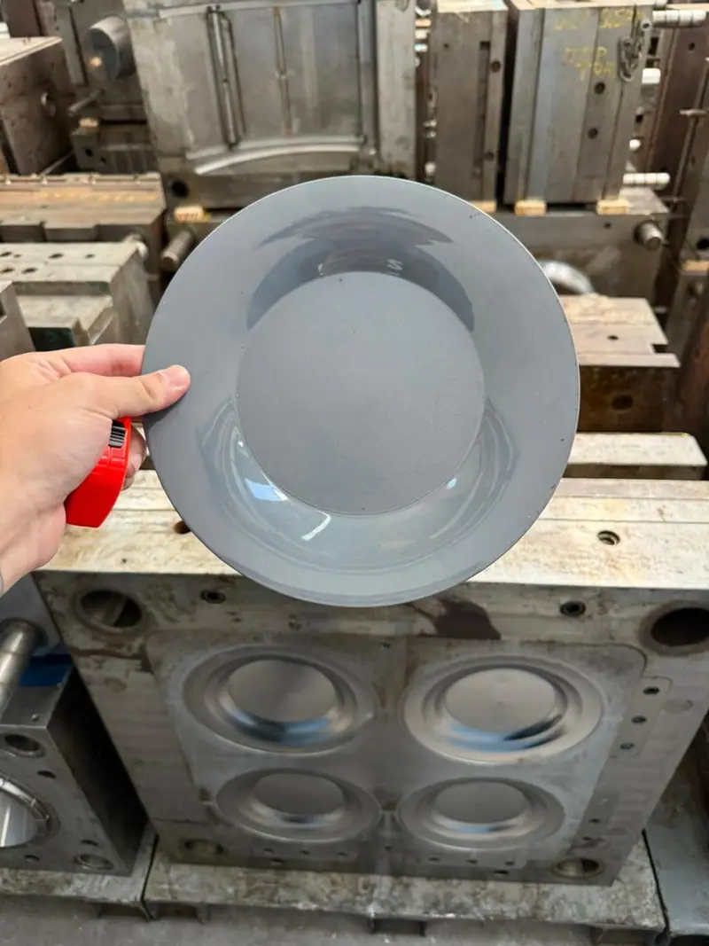 Peça plástica injetada a partir do molde para prato com peça de 100 g — detalhe 3